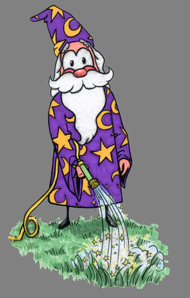 Professional outdoor landscaping experts serving Lake Leelanau, MI - Wizard Plant Naturals