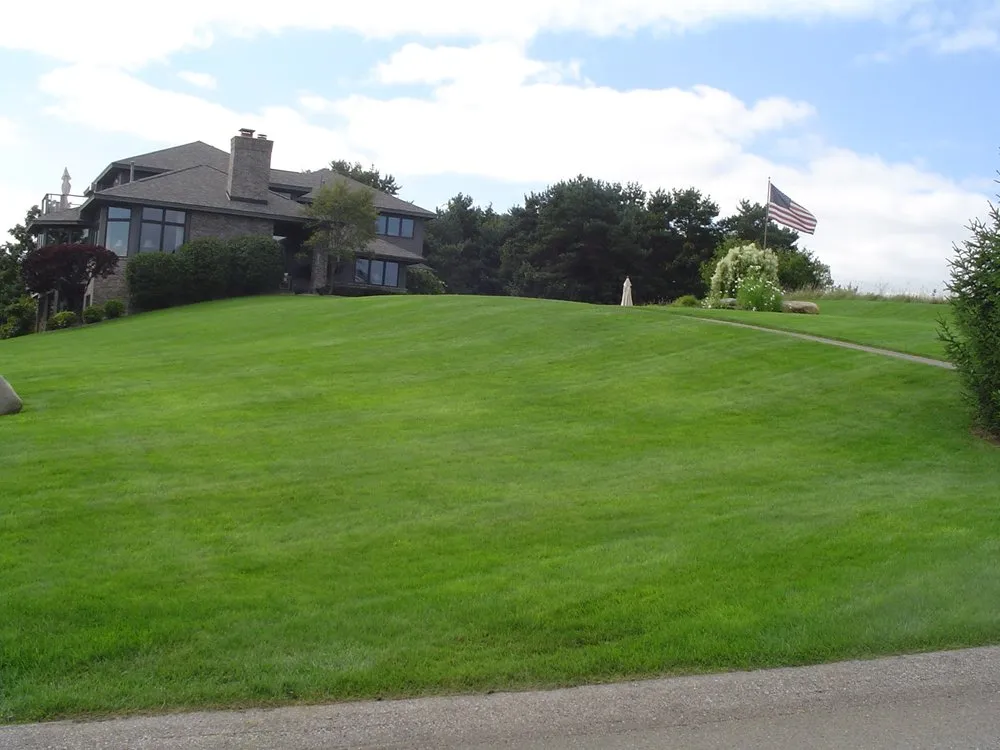 Expert lawn care service in Lake Leelanau, MI - Wizard Plant Naturals