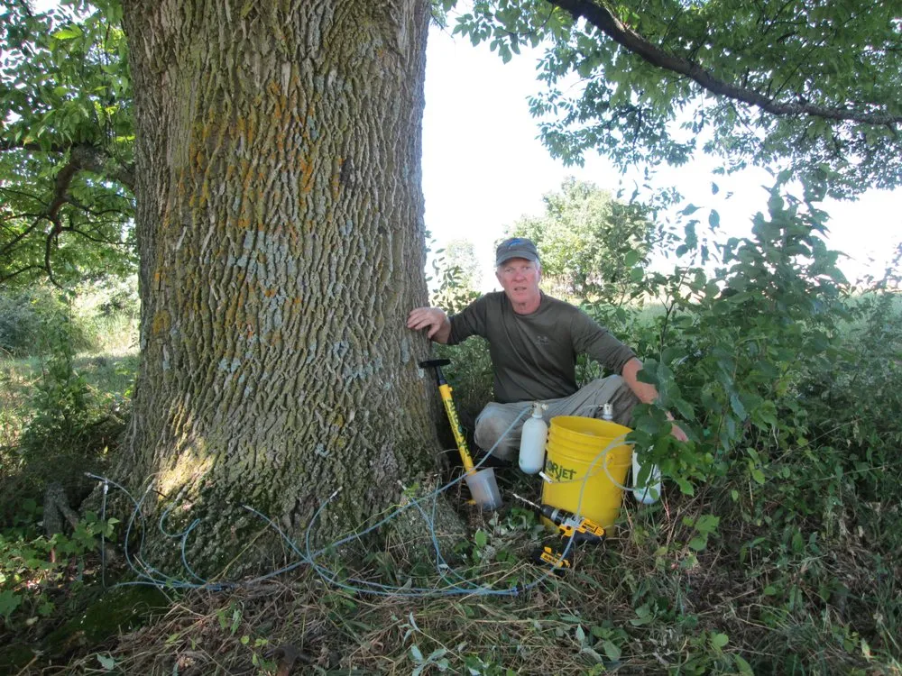 Expert landscaping services in Lake Leelanau, MI by Wizard Plant Naturals