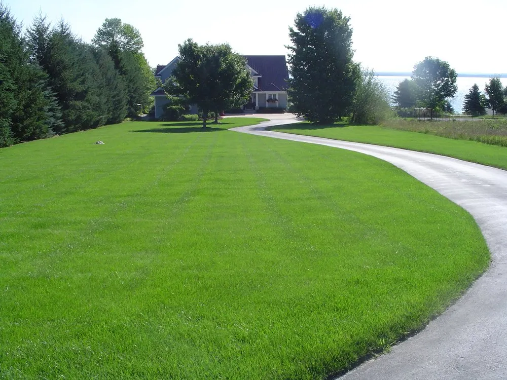 Professional residential landscaping for homes across Lake Leelanau, MI - Wizard Plant Naturals