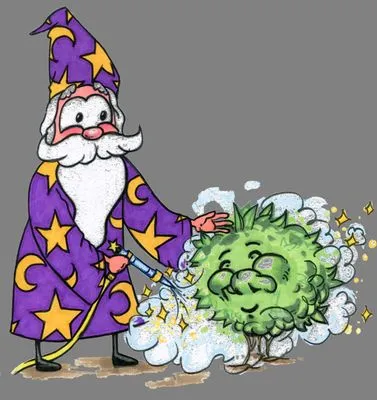 Wizard Plant Naturals Logo