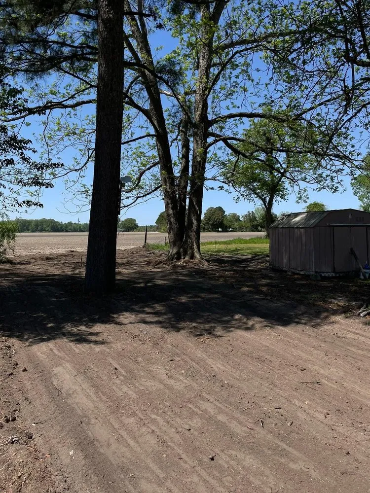 Local residential landscaping experts serving Raleigh, NC - Wizard Wipes