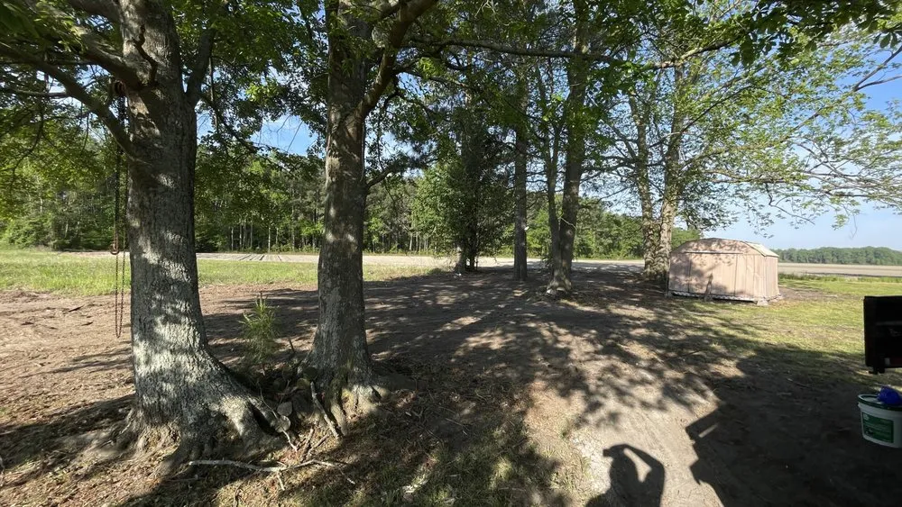 Affordable lawn mowing service in Raleigh, NC by Wizard Wipes