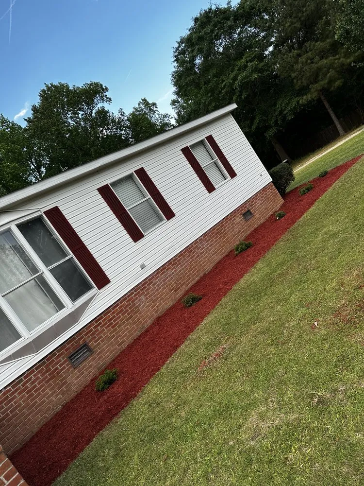 Affordable yard cleanup service in Raleigh, NC by Wizard Wipes