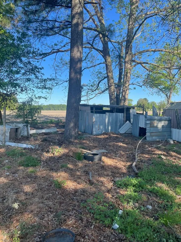 Expert residential landscaping for year-round maintenance across Raleigh, NC - Wizard Wipes