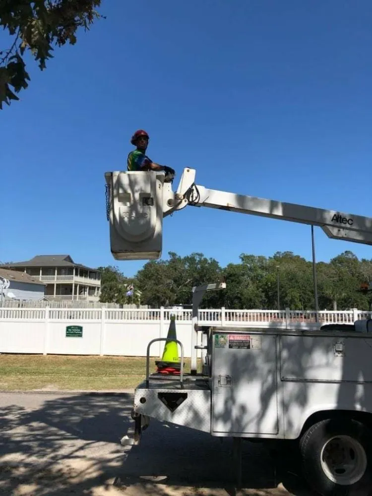 Custom landscape installation experts serving Myrtle Beach, SC - Wize Apostles Home Services