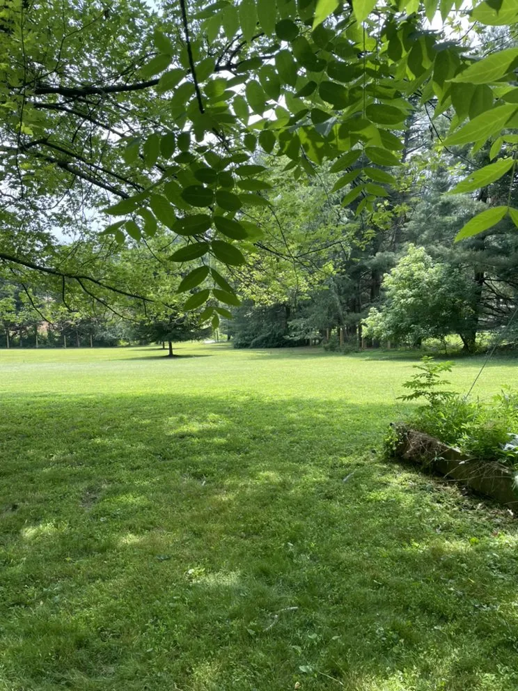 Affordable residential landscaping experts serving Derwood, MD - WJ Full Sevices