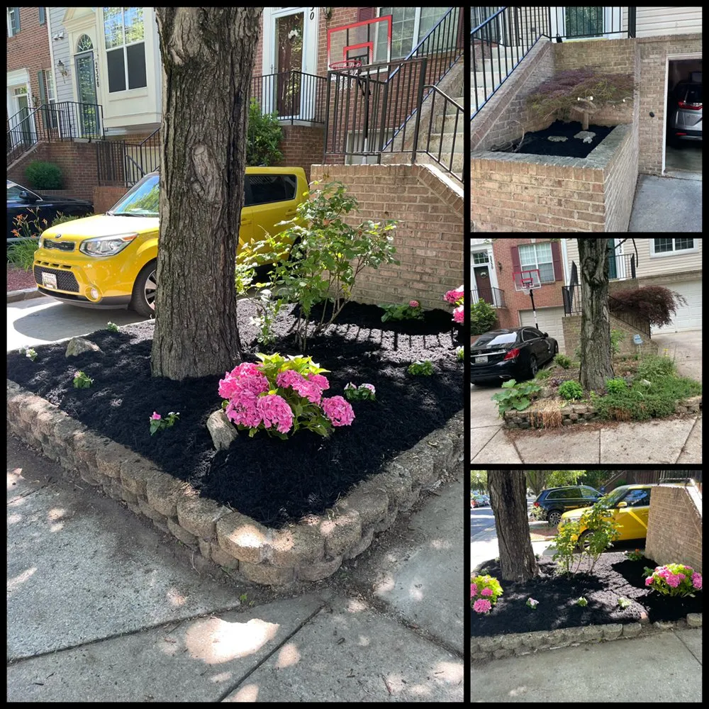 Top-rated landscape design experts serving Derwood, MD - WJ Full Sevices