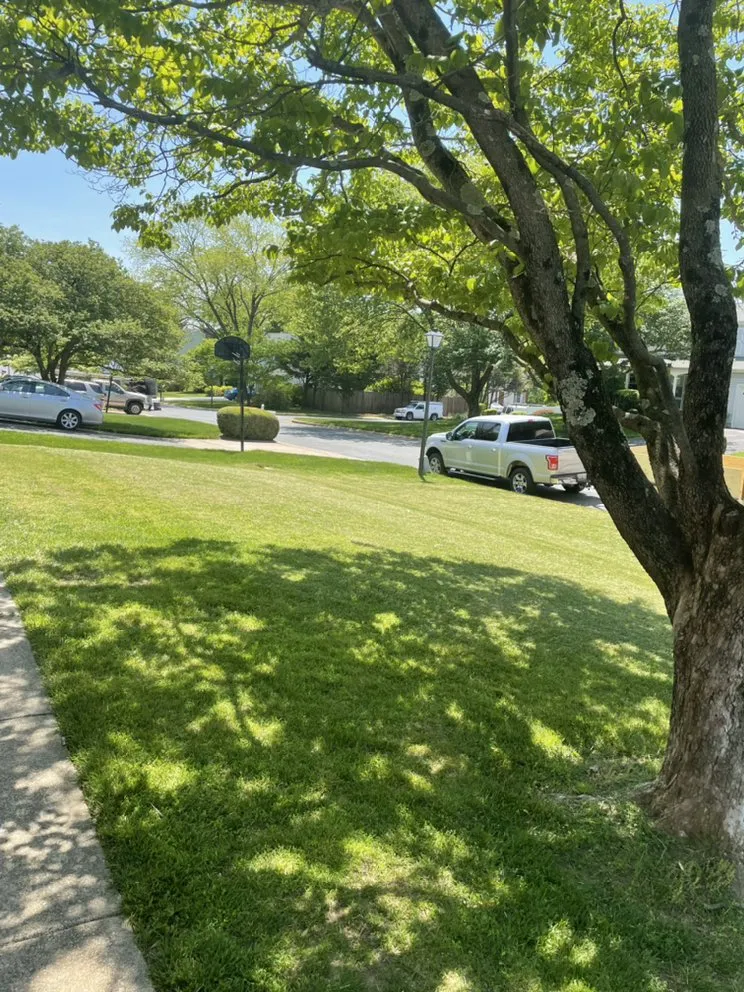 Top-rated landscaping services for year-round maintenance in Derwood, MD by WJ Full Sevices