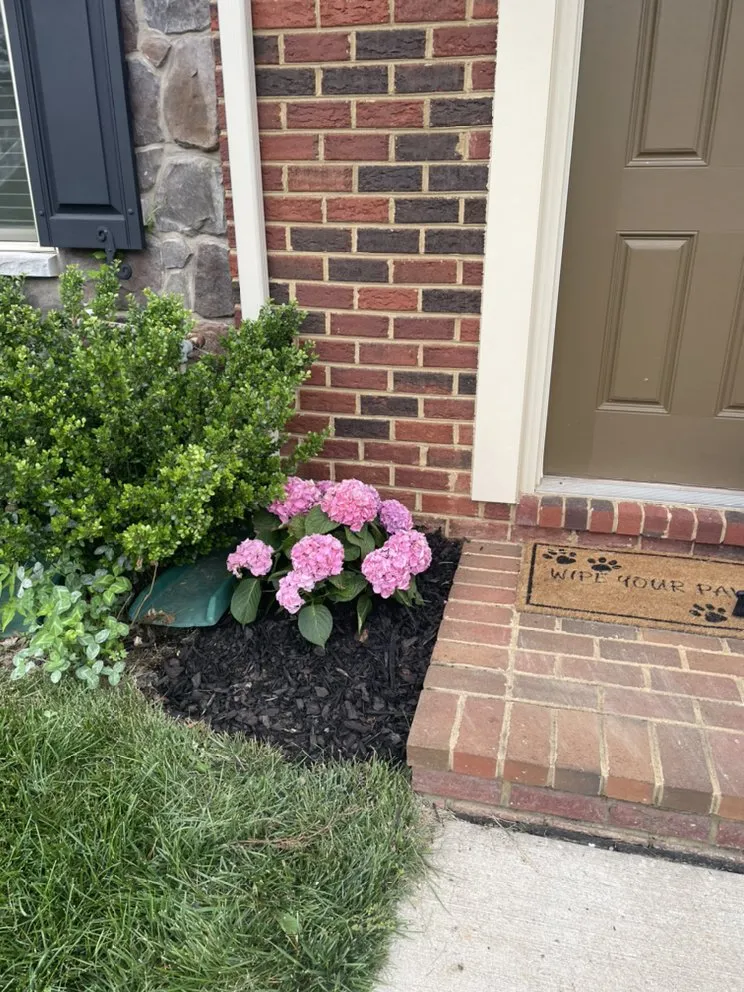 Reliable residential landscaping in Derwood, MD - WJ Full Sevices