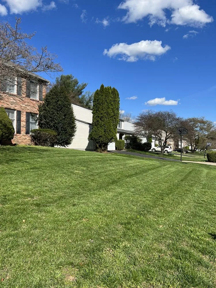 Professional yard cleanup service experts serving Derwood, MD - WJ Full Sevices