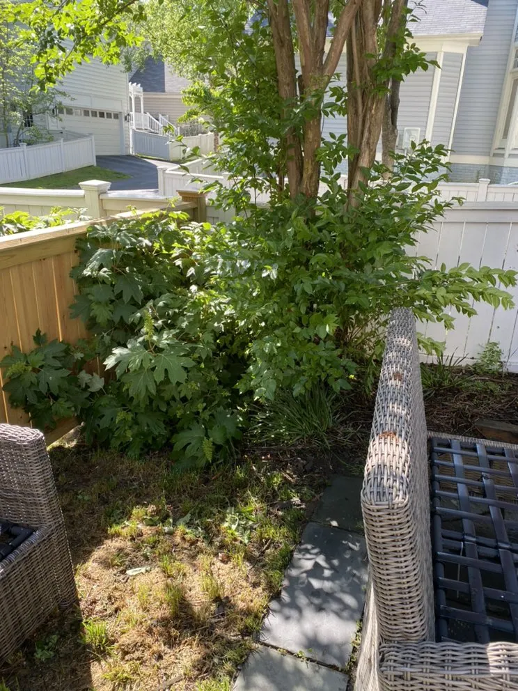 Expert lawn mowing service for beautiful yards in Derwood, MD by WJ Full Sevices