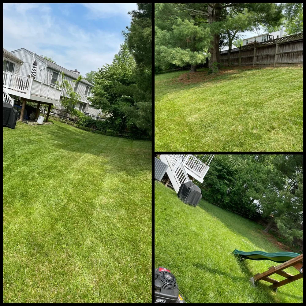 Affordable lawn care service for beautiful yards across Derwood, MD - WJ Full Sevices