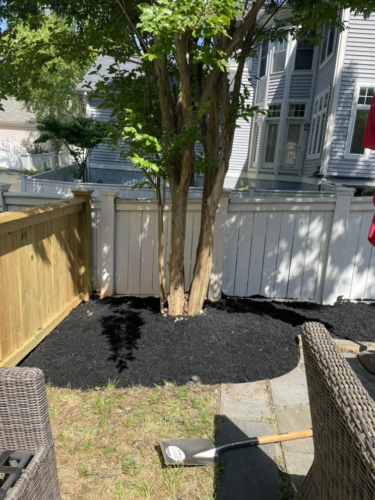 Local yard cleanup service for beautiful yards in Derwood, MD by WJ Full Sevices