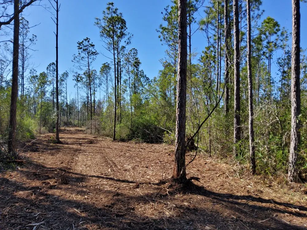 Expert landscape installation near you in Fountain, FL by WJ Land Management