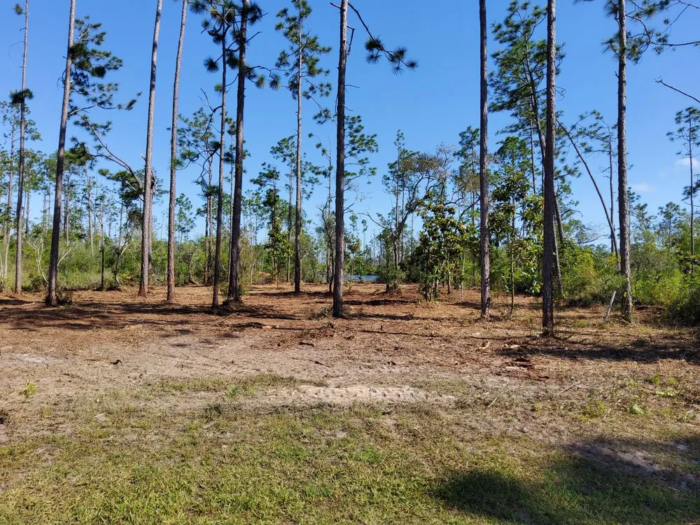 Affordable garden landscaping near you in Fountain, FL by WJ Land Management