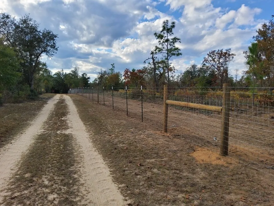 Reliable residential landscaping experts serving Fountain, FL - WJ Land Management