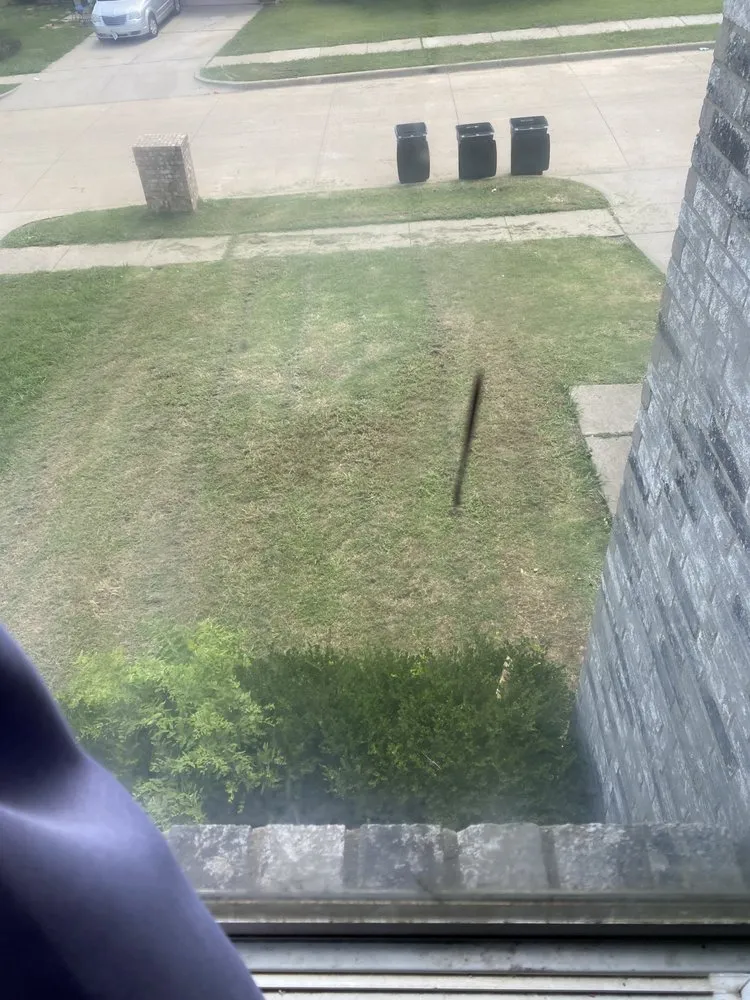 Custom landscaping services for beautiful yards across Fort Worth, TX - WJ Landscape