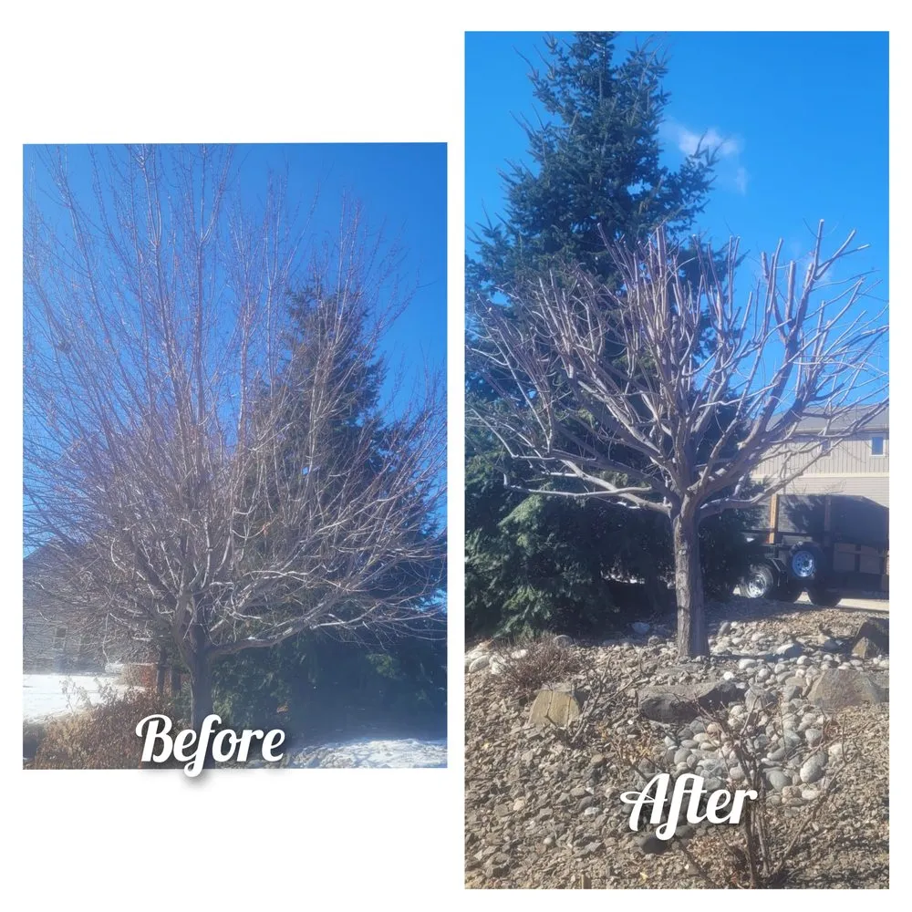 Affordable landscape installation for homes in East Wenatchee, WA by WJ Landscaping