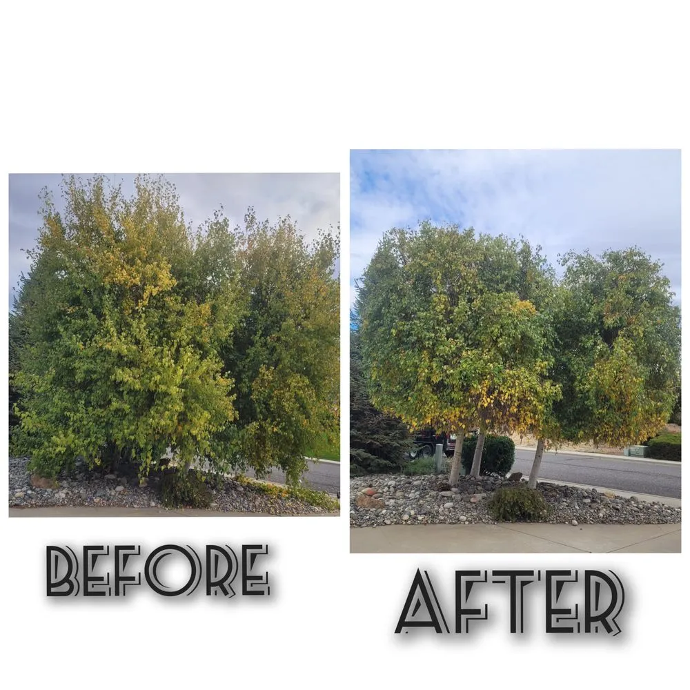 Top-rated lawn mowing service experts serving East Wenatchee, WA - WJ Landscaping