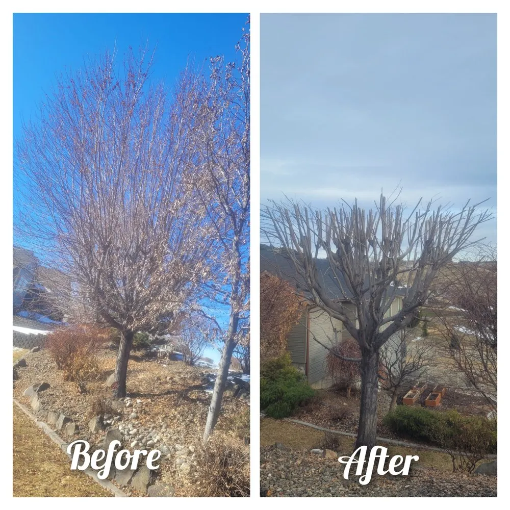 Trusted residential landscaping in East Wenatchee, WA - WJ Landscaping