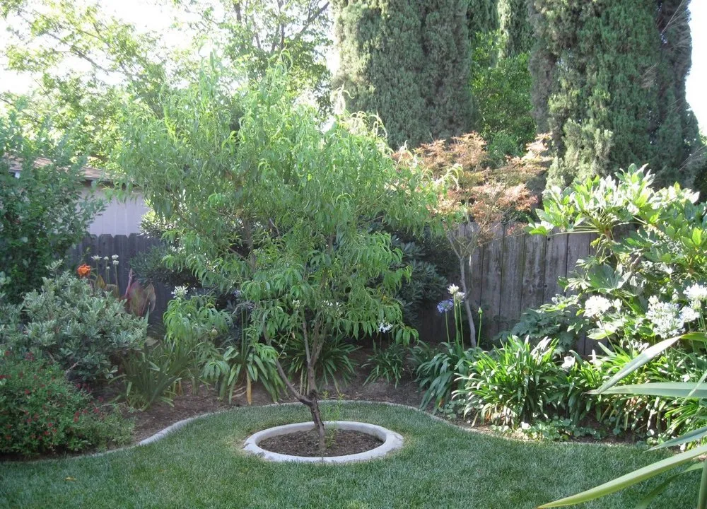 Affordable landscape design near you across Turlock, CA - WJ Lawncare