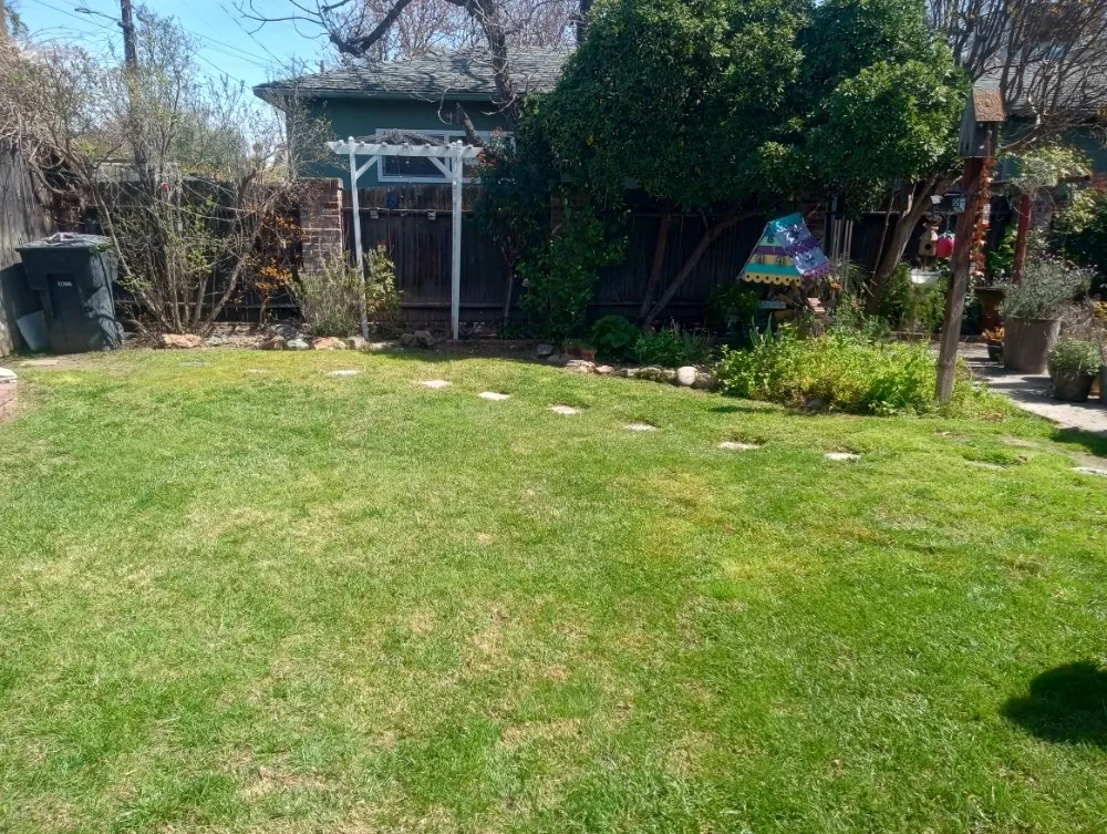 Top-rated outdoor landscaping in Turlock, CA - WJ Lawncare