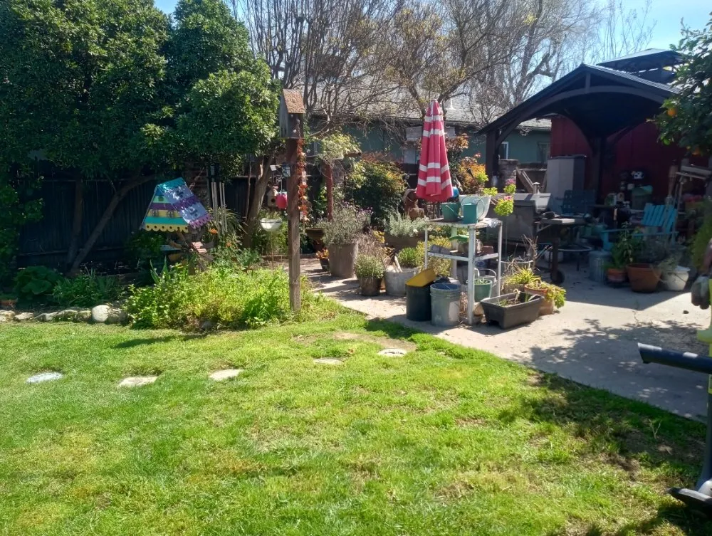 Local outdoor landscaping in Turlock, CA - WJ Lawncare