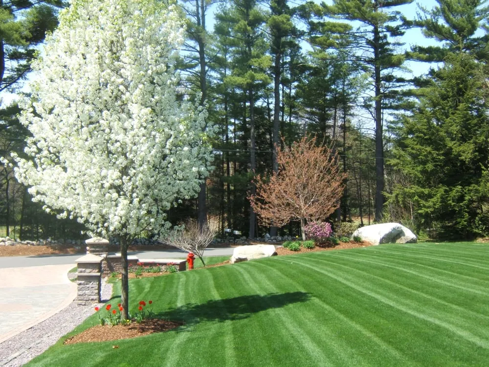 Custom landscape installation for homes in Salem, NH by WJ Smallwood Landscaping
