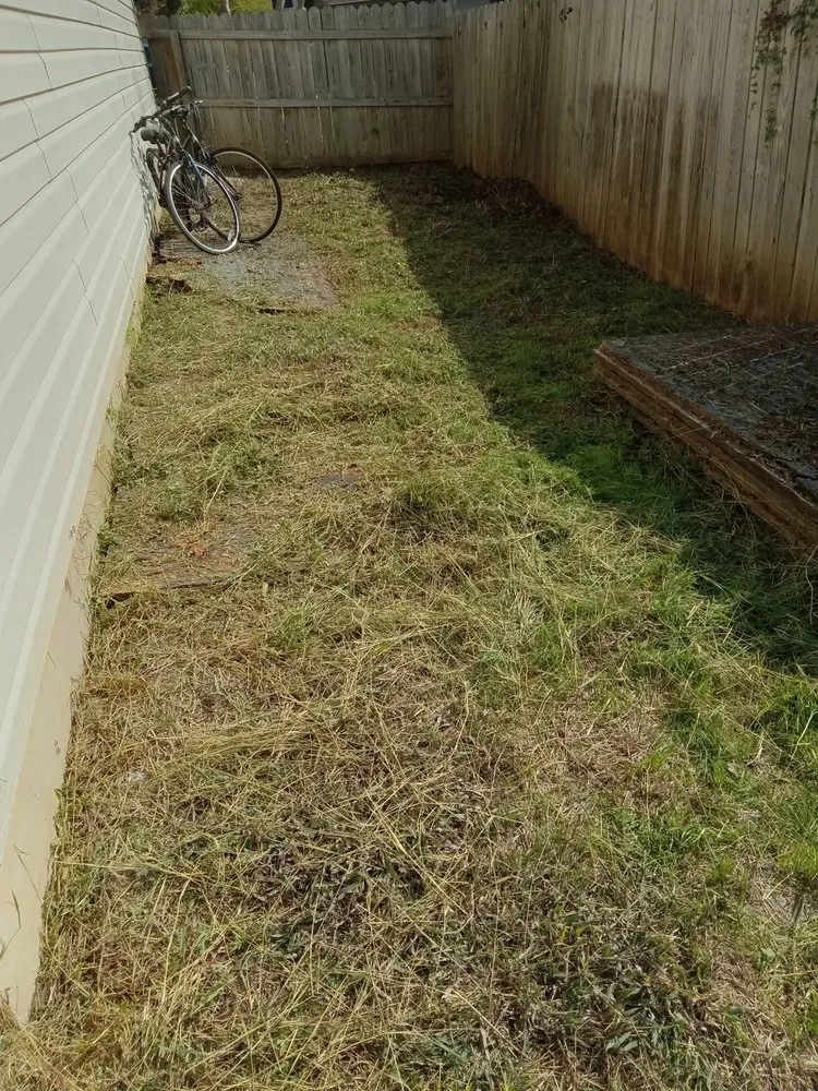 Trusted outdoor landscaping for beautiful yards across San Antonio, TX - WJ Tree & Landscaping