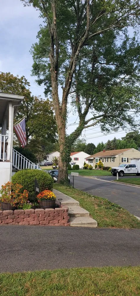 Reliable residential landscaping for residential properties across East Lyme, CT - WJ Tree Service