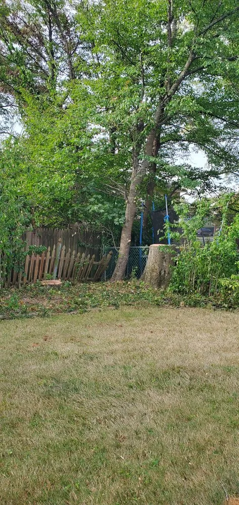 Reliable garden landscaping experts serving East Lyme, CT - WJ Tree Service