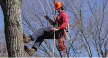 Reliable landscaping services near you across East Lyme, CT - WJ Tree Service