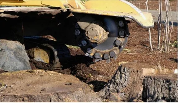 Top-rated lawn mowing service in East Lyme, CT by WJ Tree Service