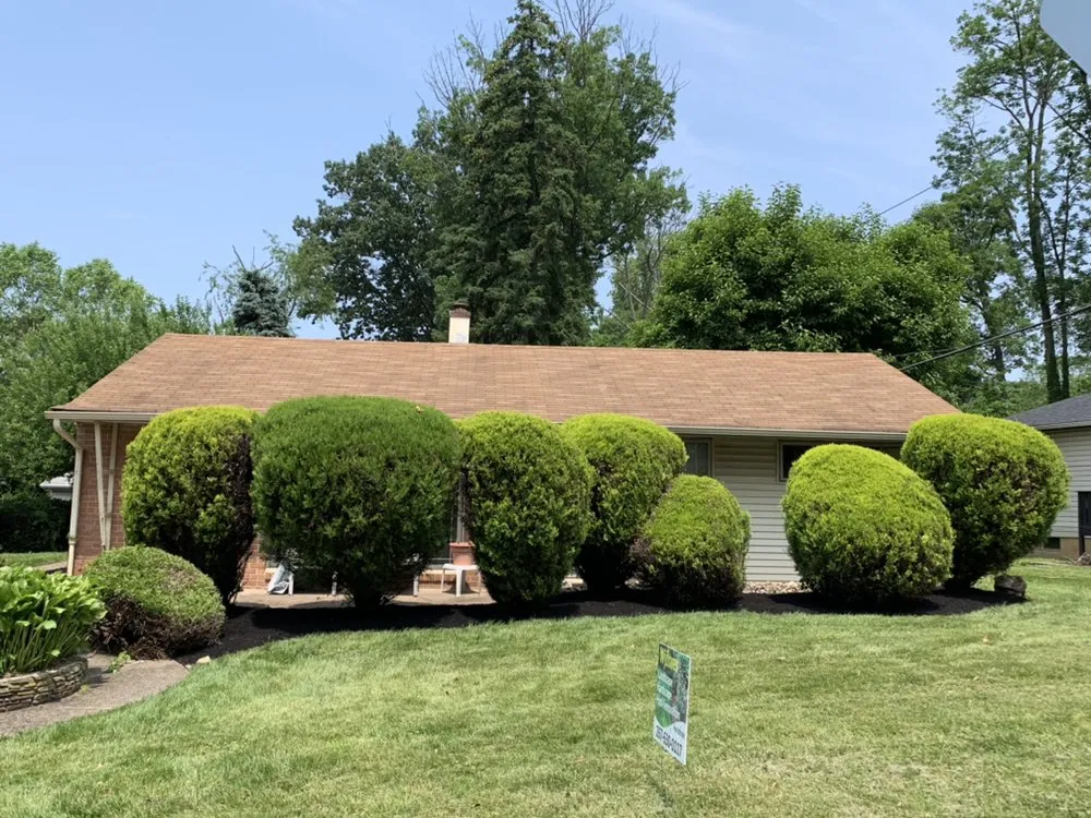 Custom yard cleanup service in Bristol, PA by Wjflores Landscaping & Hardscaping