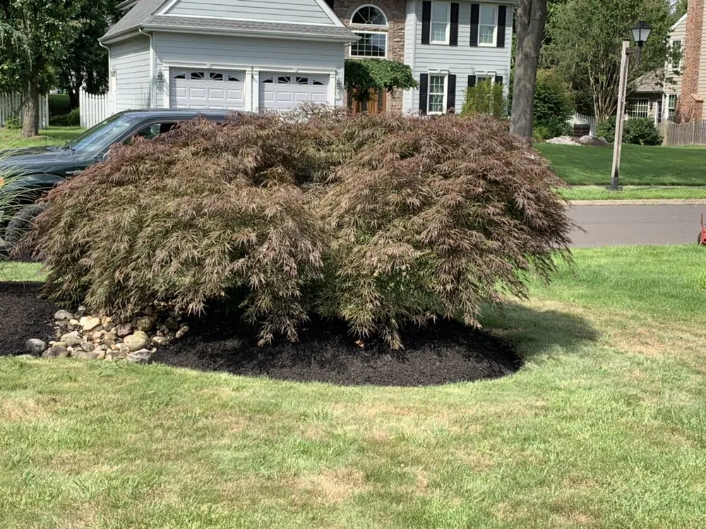 Custom outdoor landscaping for residential properties in Bristol, PA by Wjflores Landscaping & Hardscaping