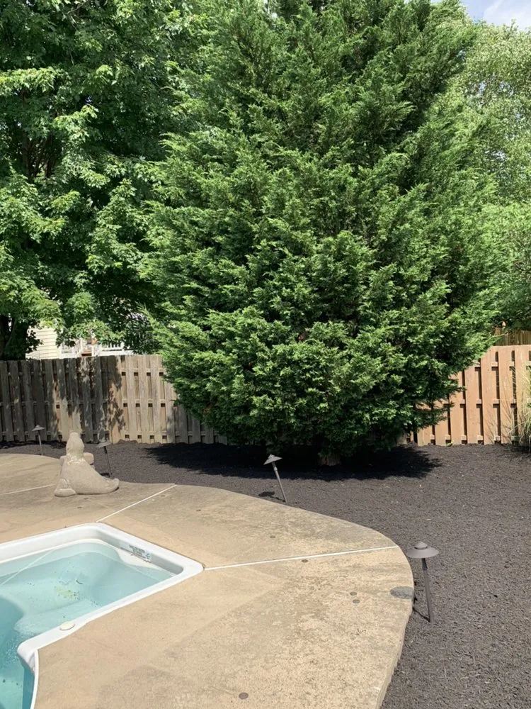 Affordable yard cleanup service for outdoor upgrades across Bristol, PA - Wjflores Landscaping & Hardscaping