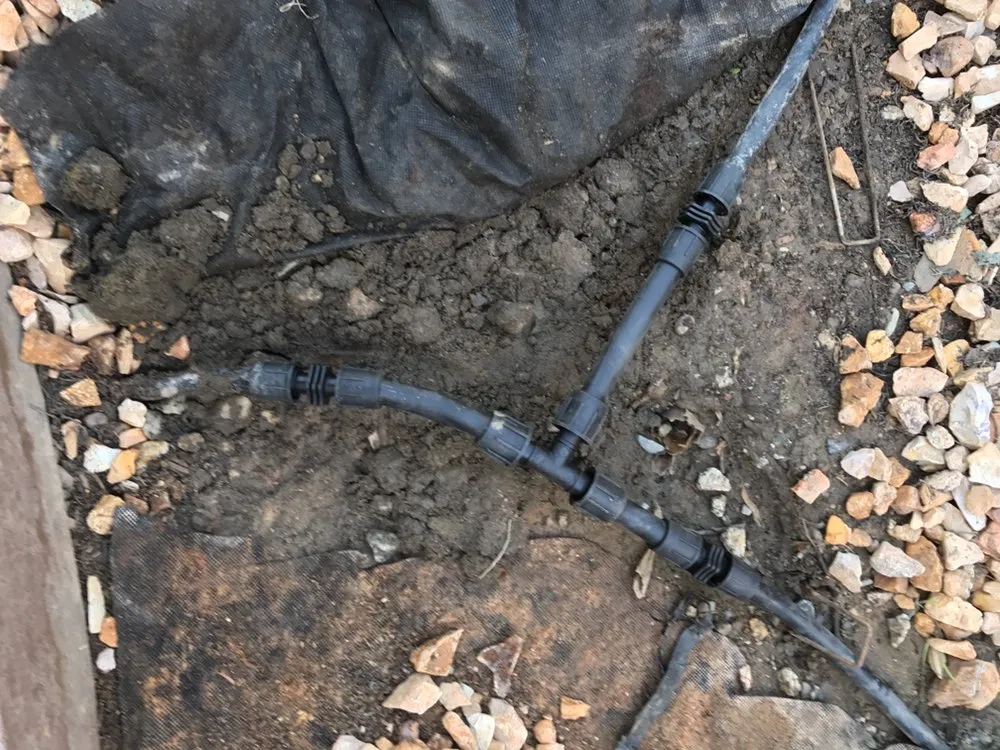 Affordable lawn care service in Tracy, CA by WJP Irrigation