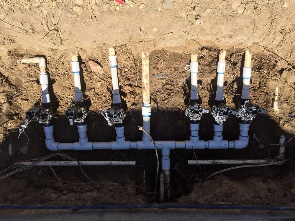 Expert lawn care service for year-round maintenance in Tracy, CA by WJP Irrigation