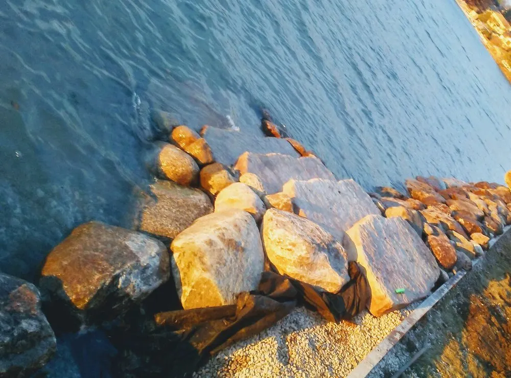 Reliable yard cleanup service for year-round maintenance across Kalkaska, MI - W&K landscaping