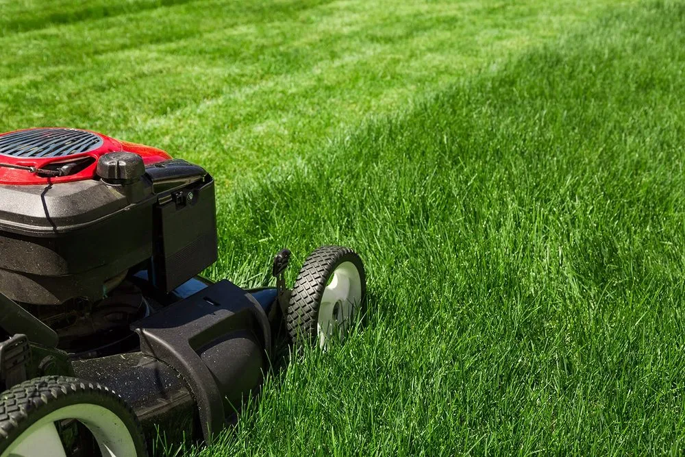 Professional yard cleanup service in Fitzgerald, GA - WK Lawn Care Services