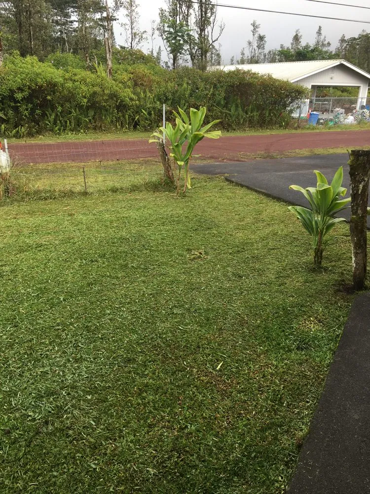 Custom landscaping services in Hilo, HI by WK Lawn Maintenance