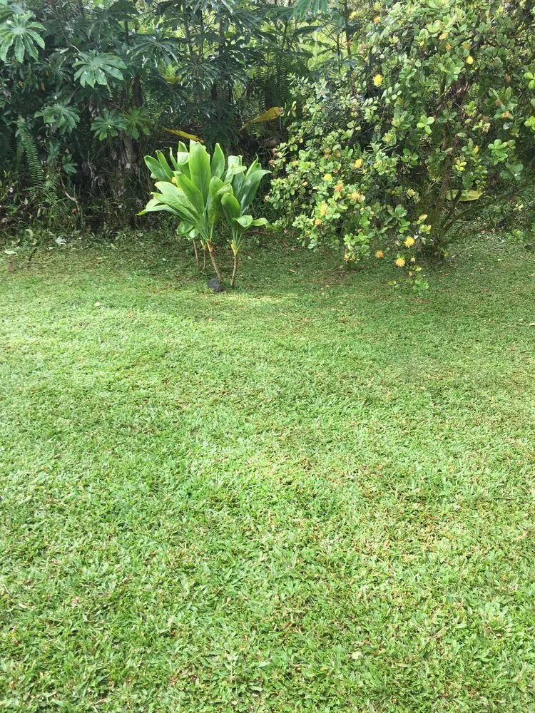 Custom garden landscaping in Hilo, HI - WK Lawn Maintenance