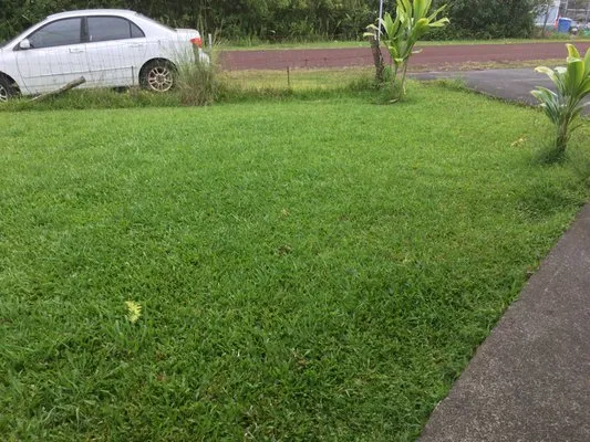 WK Lawn Maintenance Logo