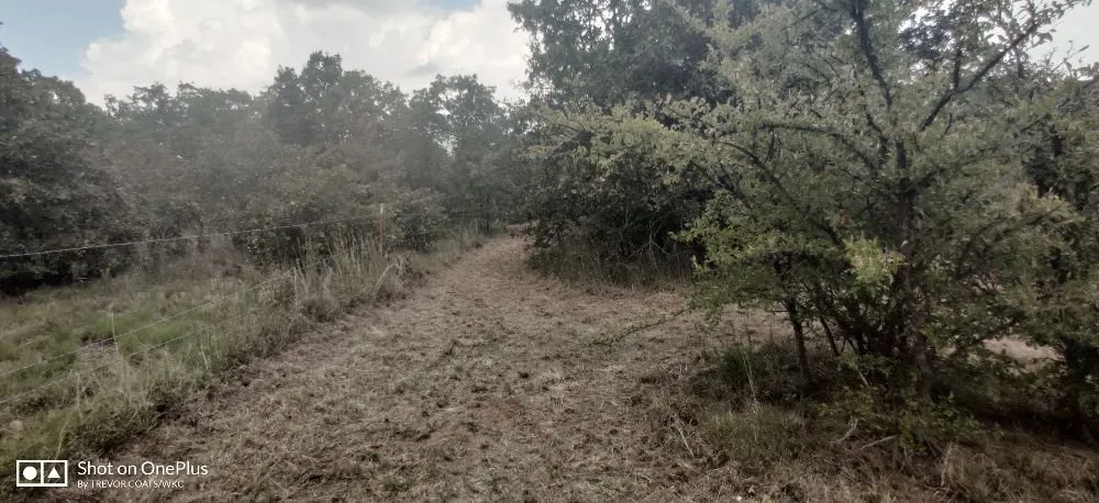 Reliable yard cleanup service for year-round maintenance across Pontotoc, OK - WKC Land Management Solutions