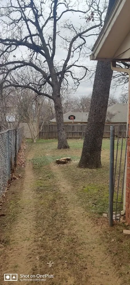 Affordable yard cleanup service for beautiful yards in Pontotoc, OK by WKC Land Management Solutions