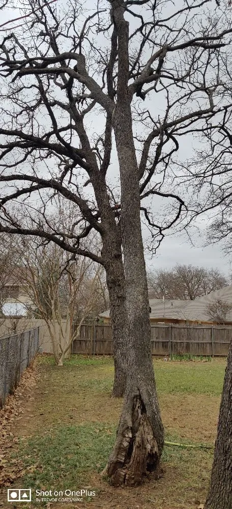Expert landscape installation experts serving Pontotoc, OK - WKC Land Management Solutions