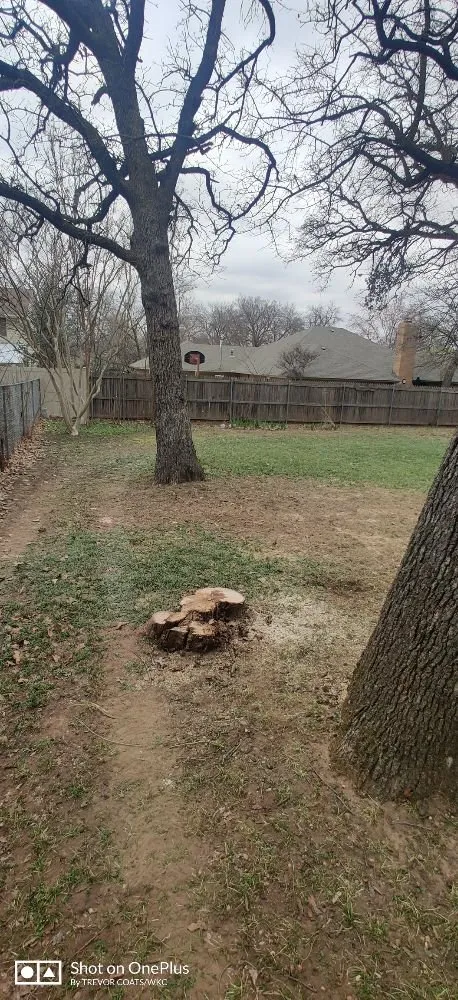 Top-rated outdoor landscaping with custom design in Pontotoc, OK by WKC Land Management Solutions