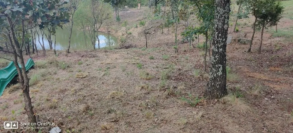 Top-rated landscape design experts serving Pontotoc, OK - WKC Land Management Solutions