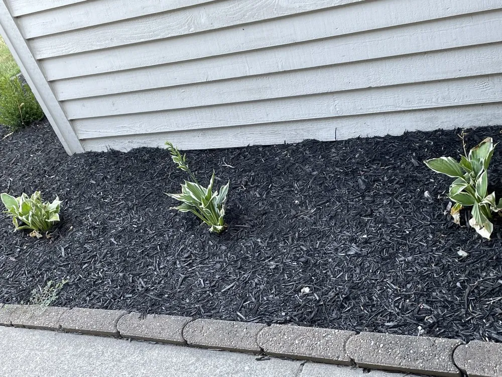 Custom residential landscaping experts serving Indianapolis, IN - WL Landscaping & Cleaning